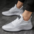 Performance Trainers - Luxoria