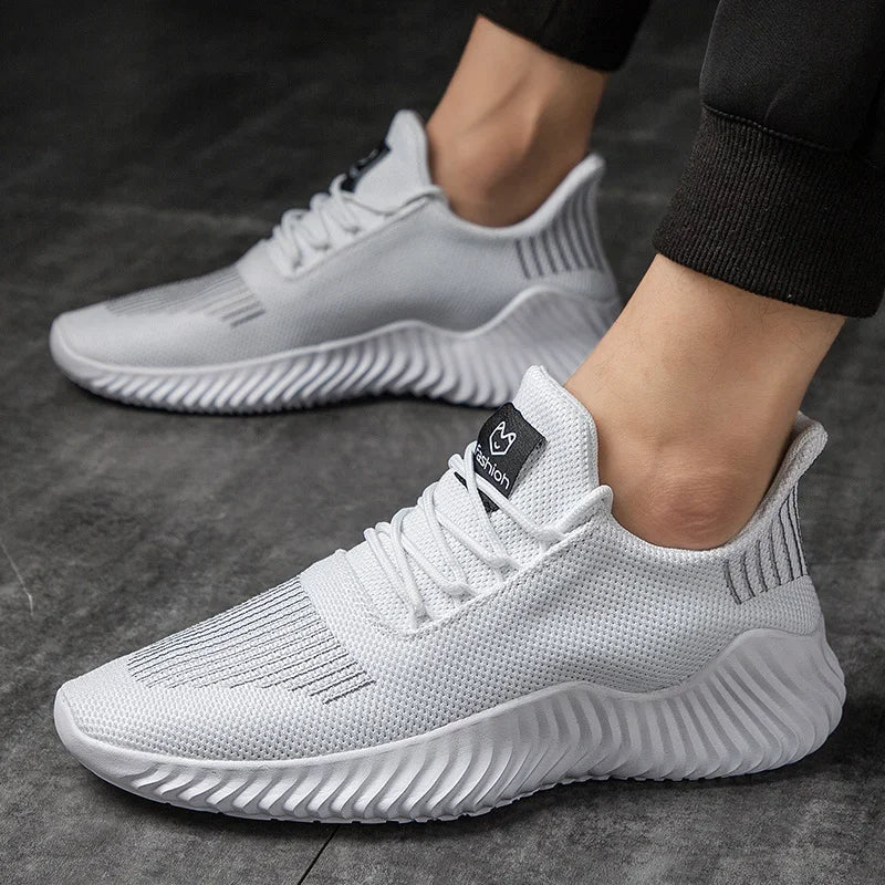 Performance Trainers - Luxoria