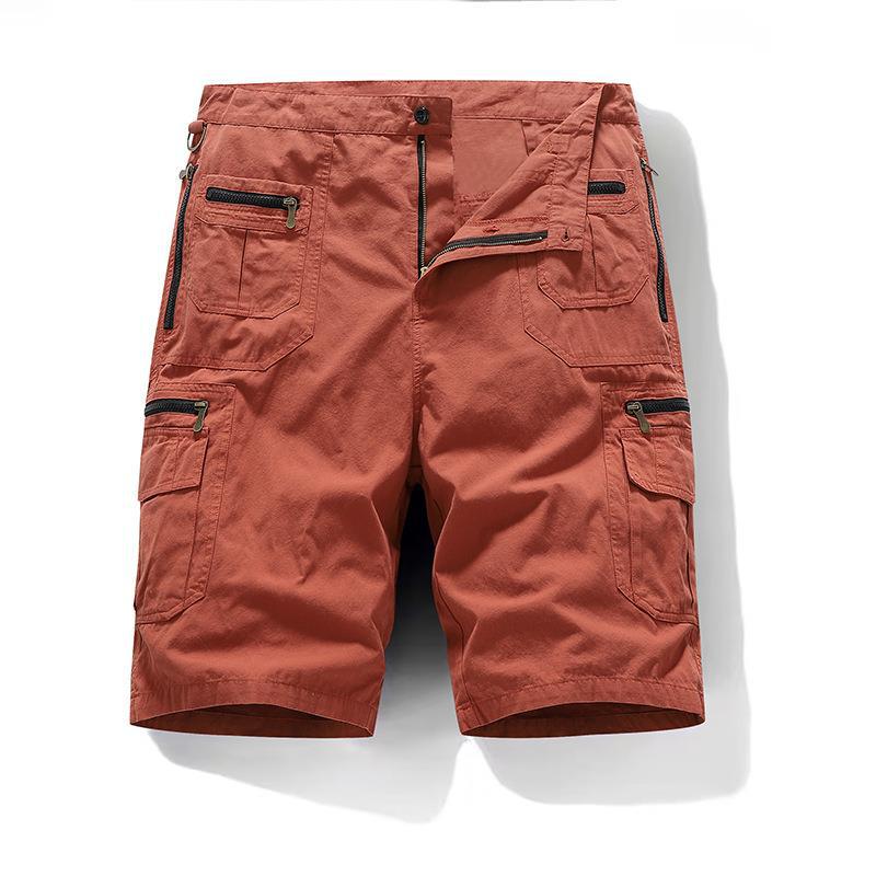 Elegant Cotton Shorts - Luxoria