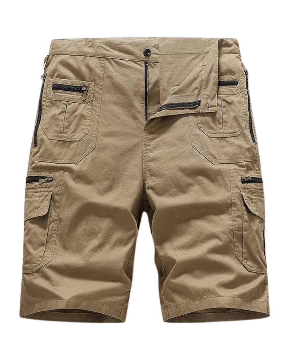 Elegant Cotton Shorts - Luxoria