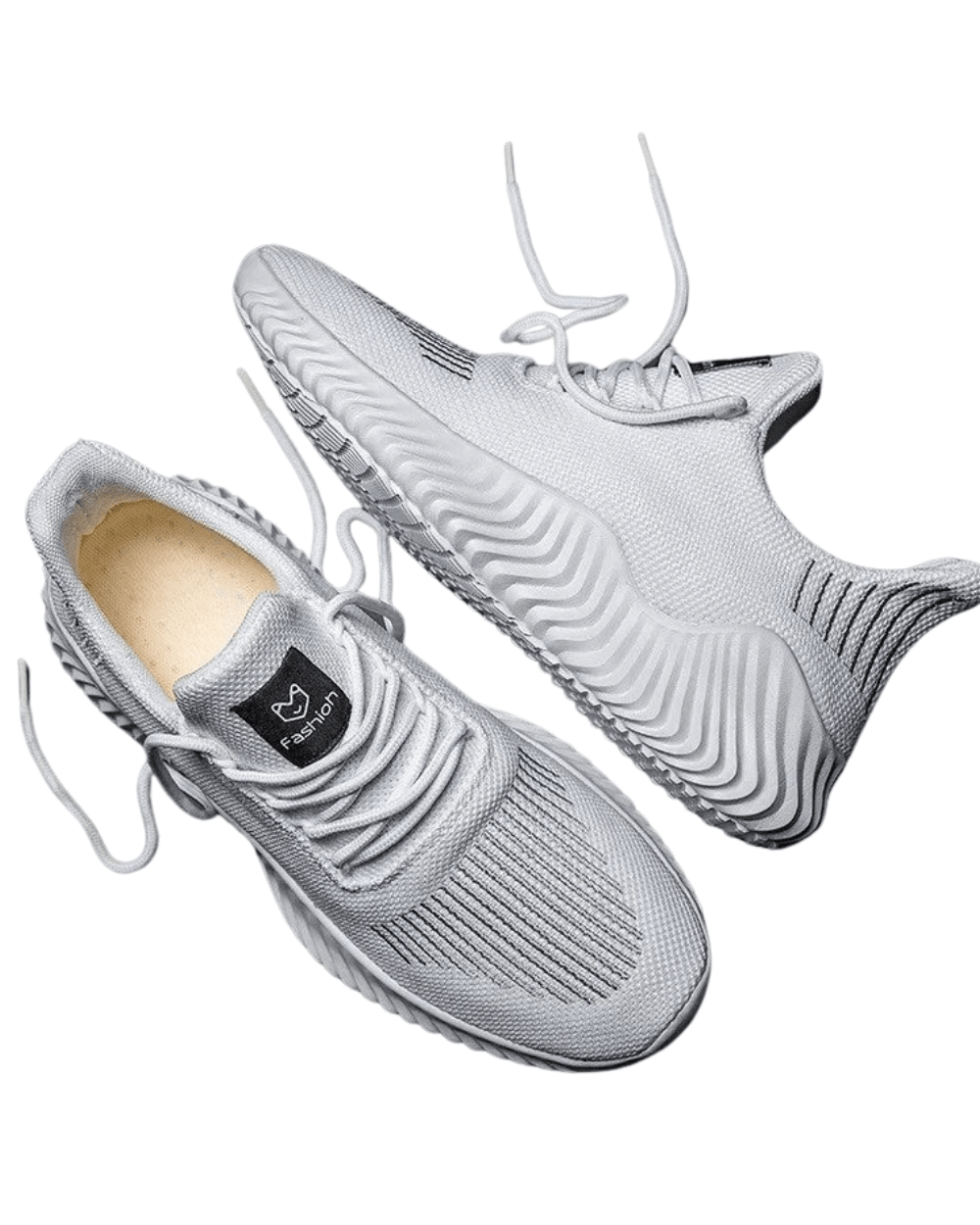 Performance Trainers - Luxoria