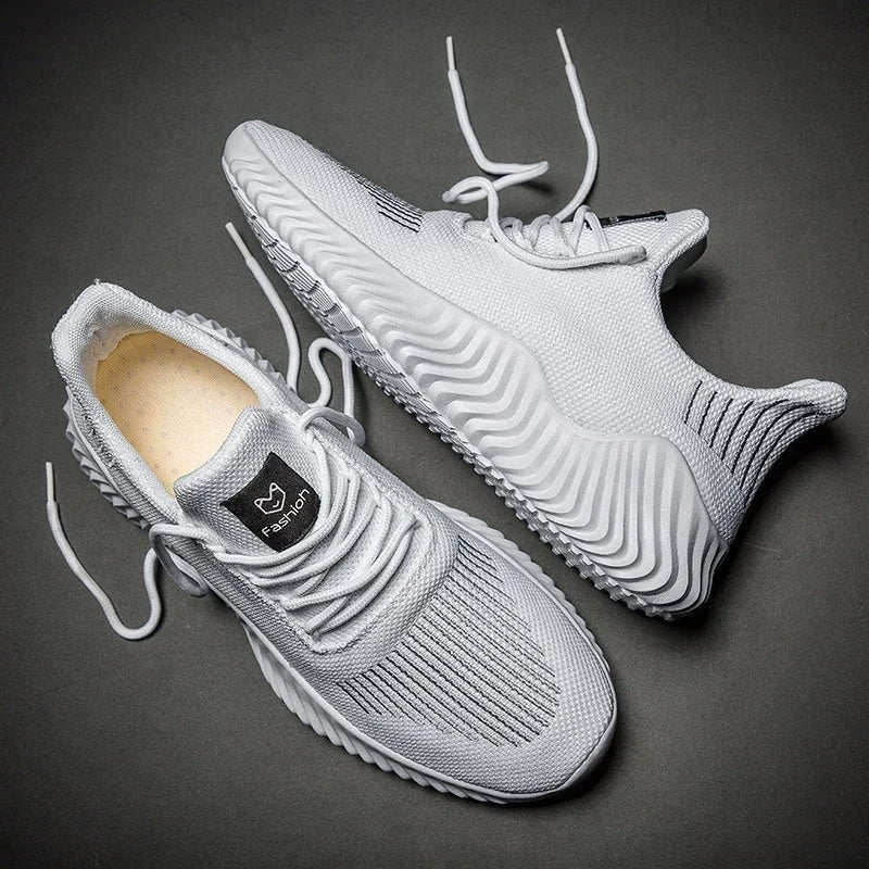 Performance Trainers - Luxoria